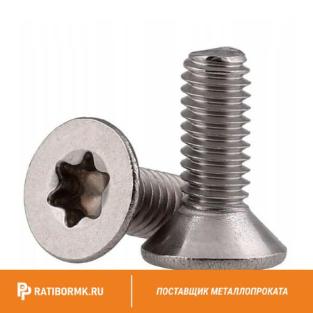 Винт нержавеющий М2,5х4 мм TORX-8 А4 DIN 965